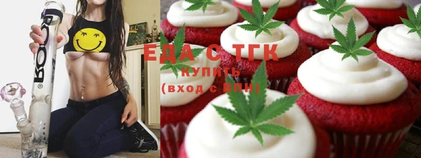 ECSTASY Алзамай