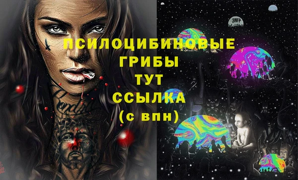 ECSTASY Алзамай