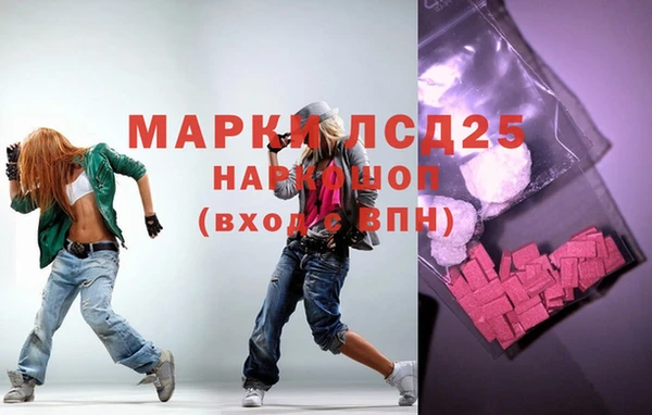 ECSTASY Алзамай